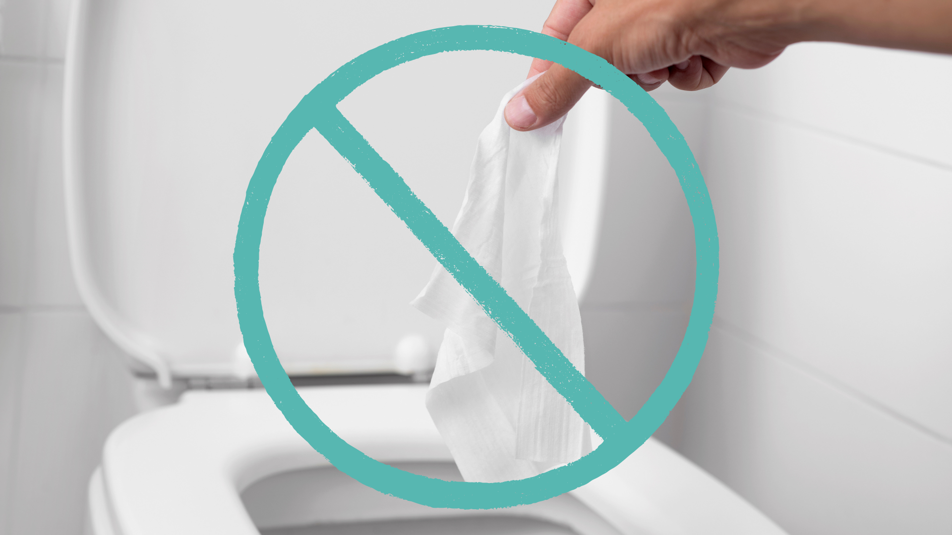Can Biodegradable Wipes Be Flushed?