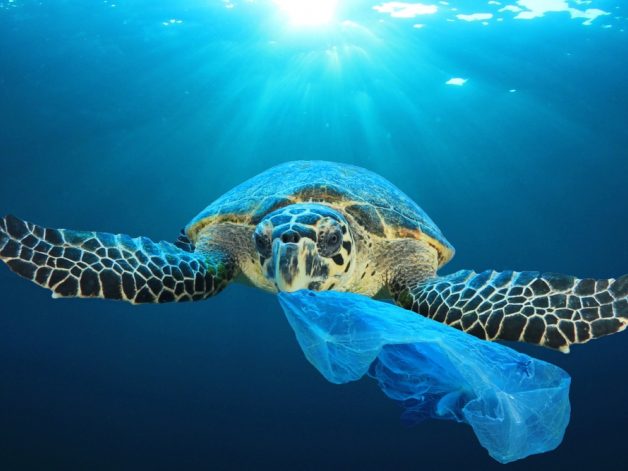 PLASTIC WASTE IS EVERYWHERE - ARE WE JUST BLIND TO IT?