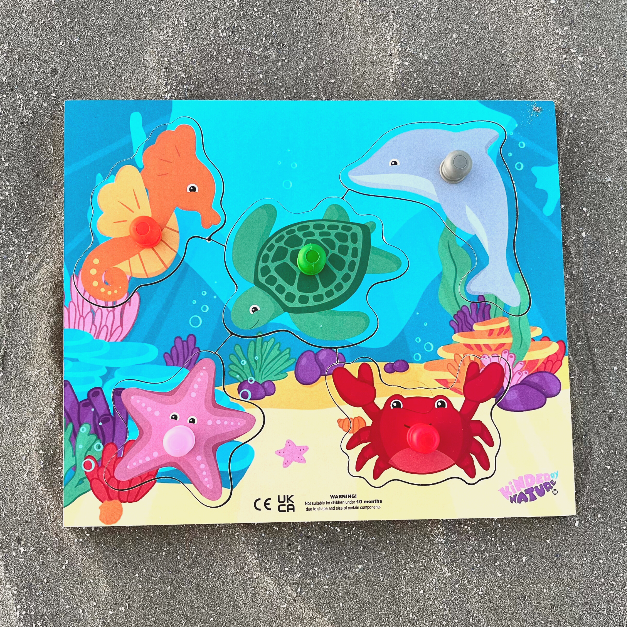 Under the Sea Jigsaw Puzzle